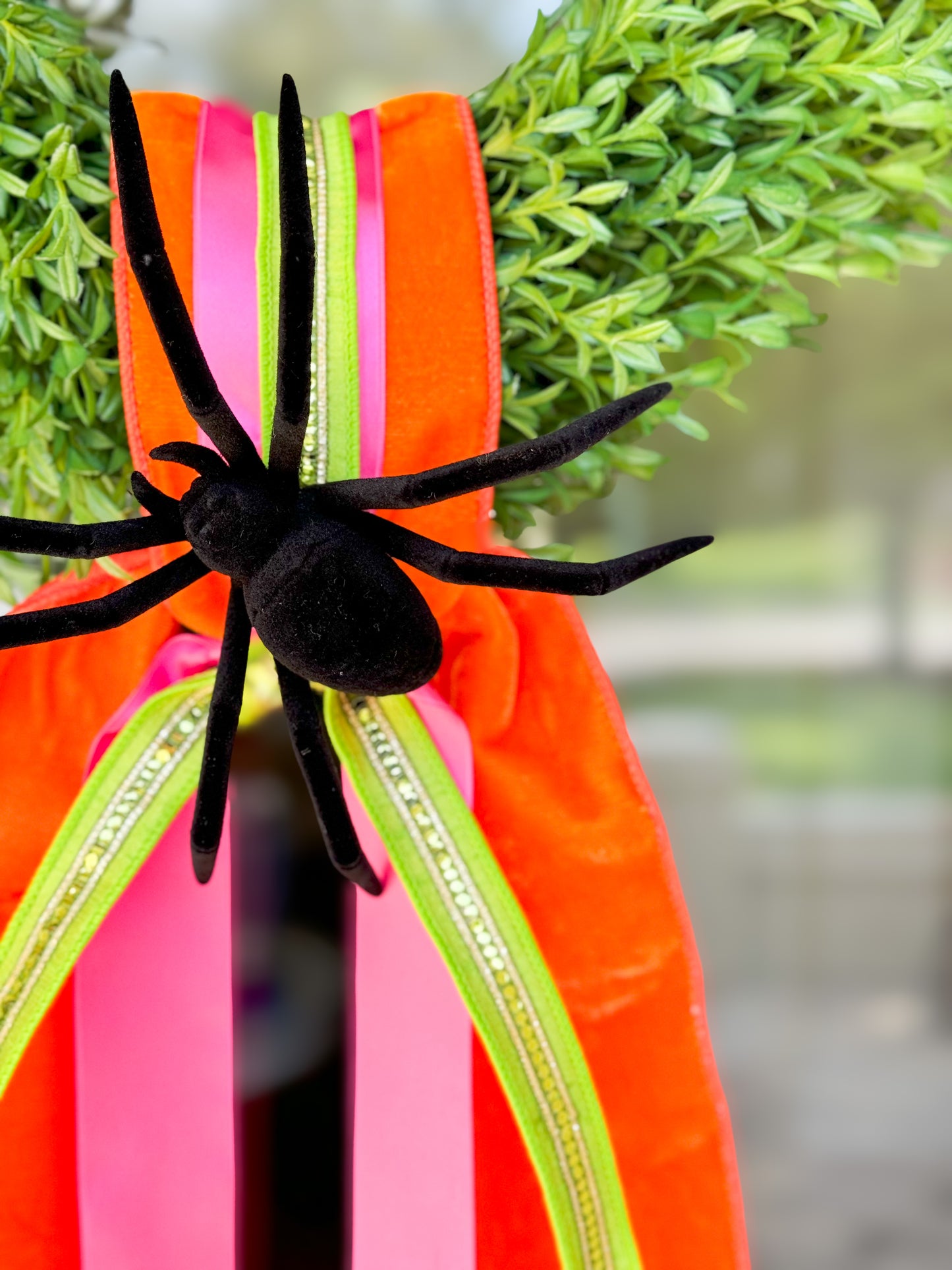 Autumn Arachnid Wreath And Sash