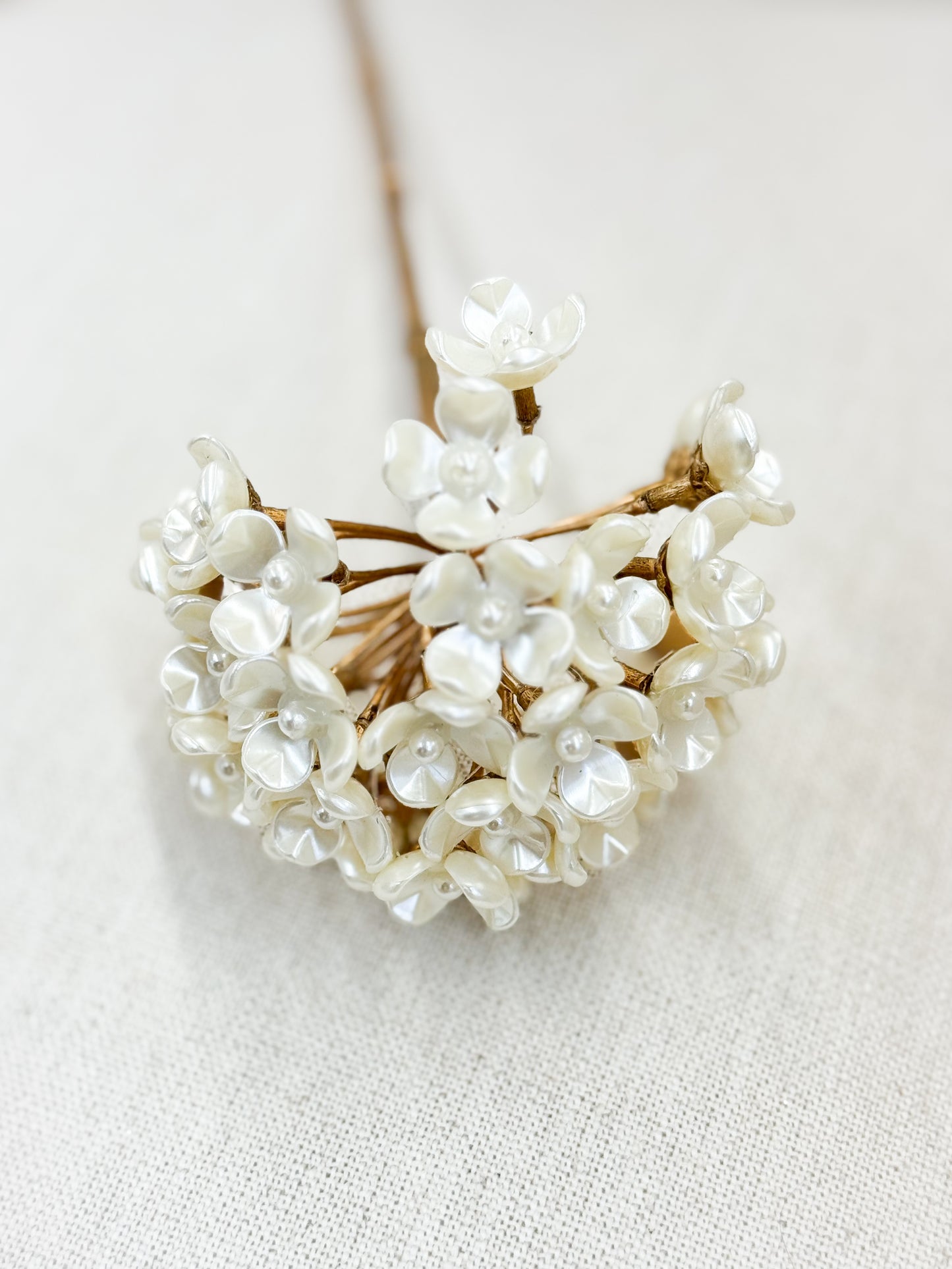 Gilded Pearl Bloom Stem Bundle