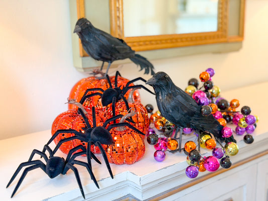 Haunted Disco Pumpkin Collection