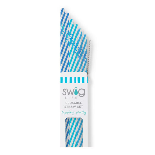 Glacier Stripe Reusable Straw Set