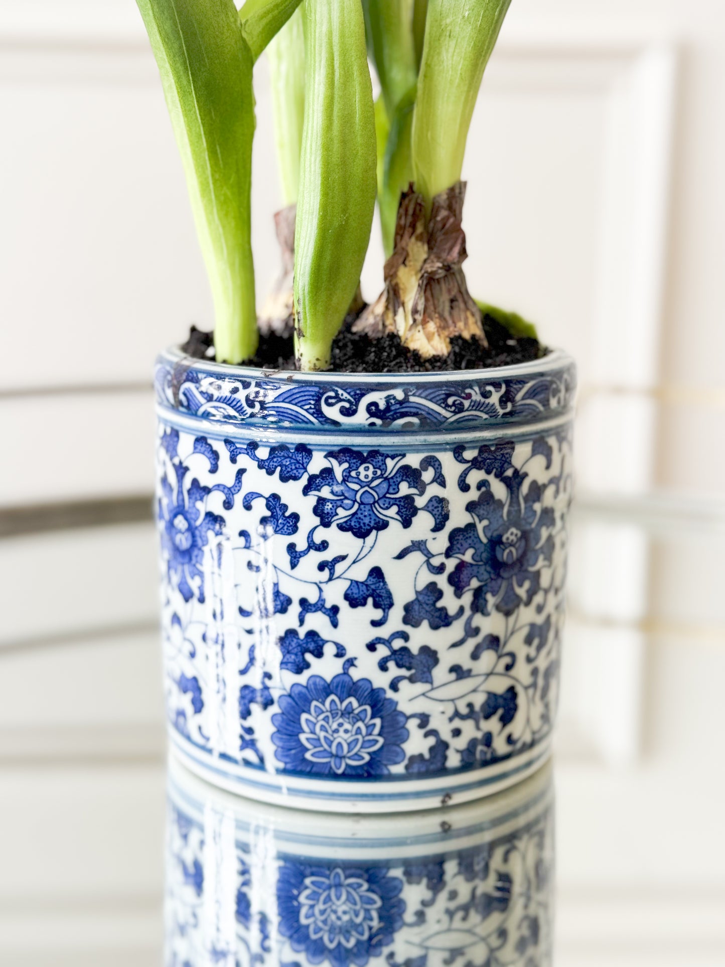 Tulips In Blue And White Ceramic Vase
