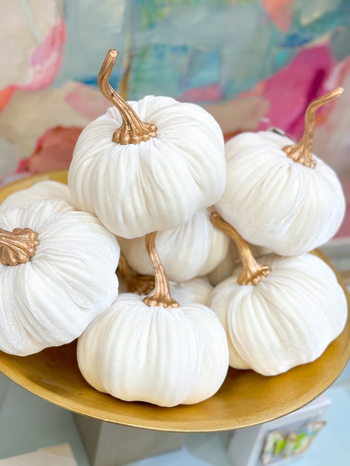 White Velvet Pumpkin