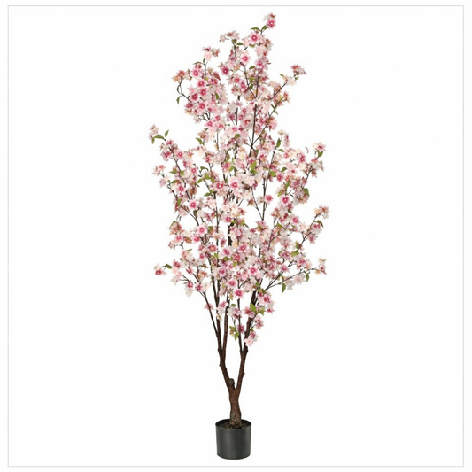 CHERRY BLOSSOM TREE 5.5'