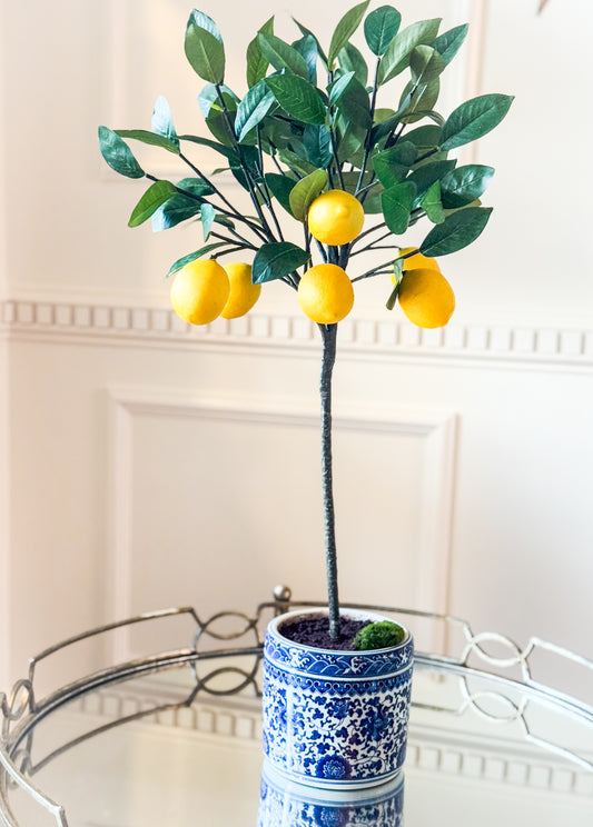 Lemon Topiary In Blue And White Ceramic Planter