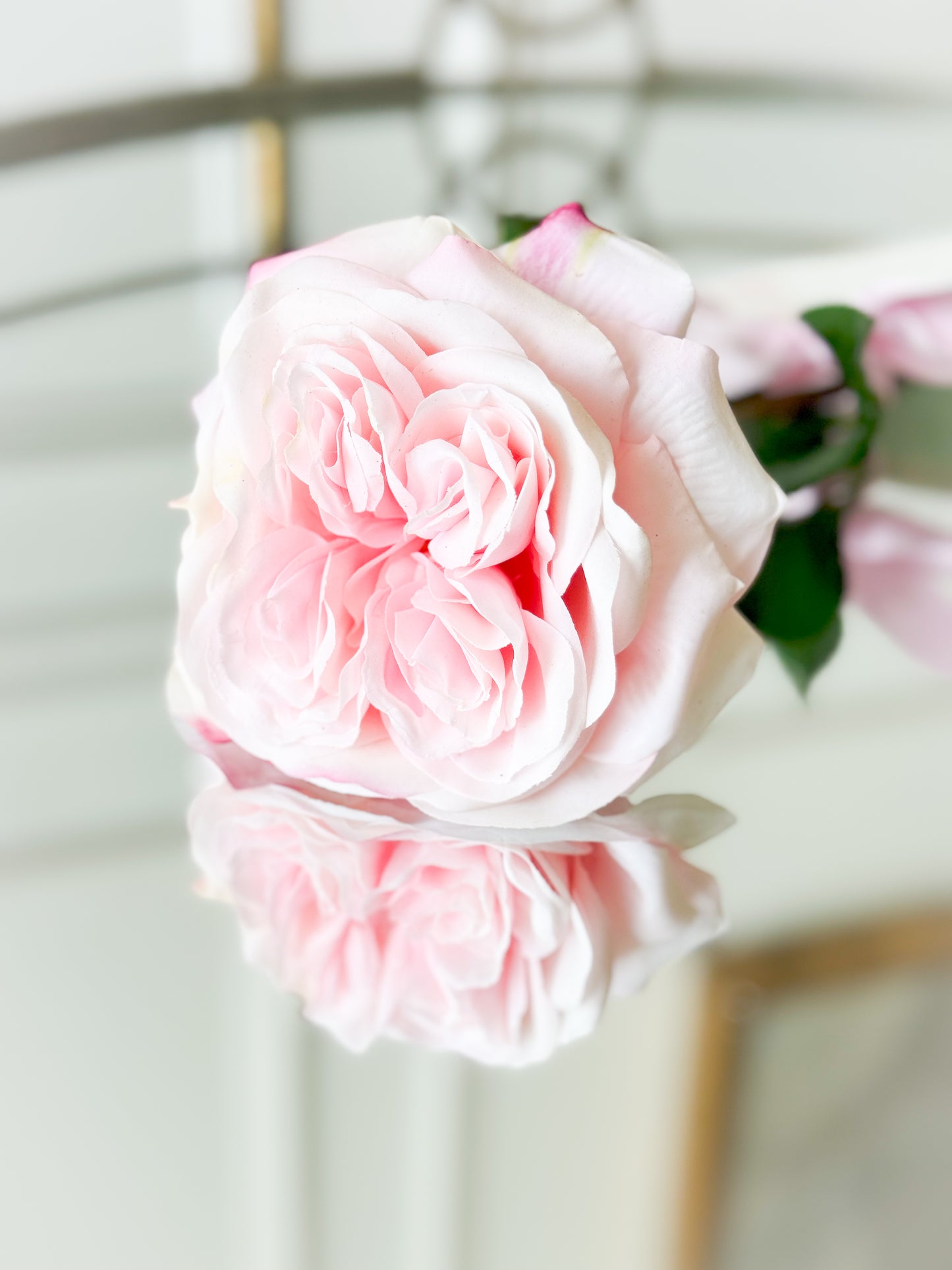 Rose Stem With Satin Ribbon And Card