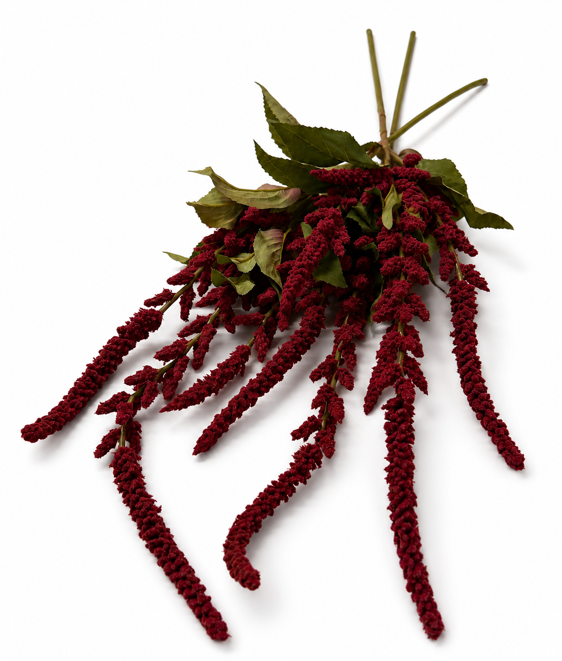 Burgundy Hanging Amaranthus Stems Set of 3