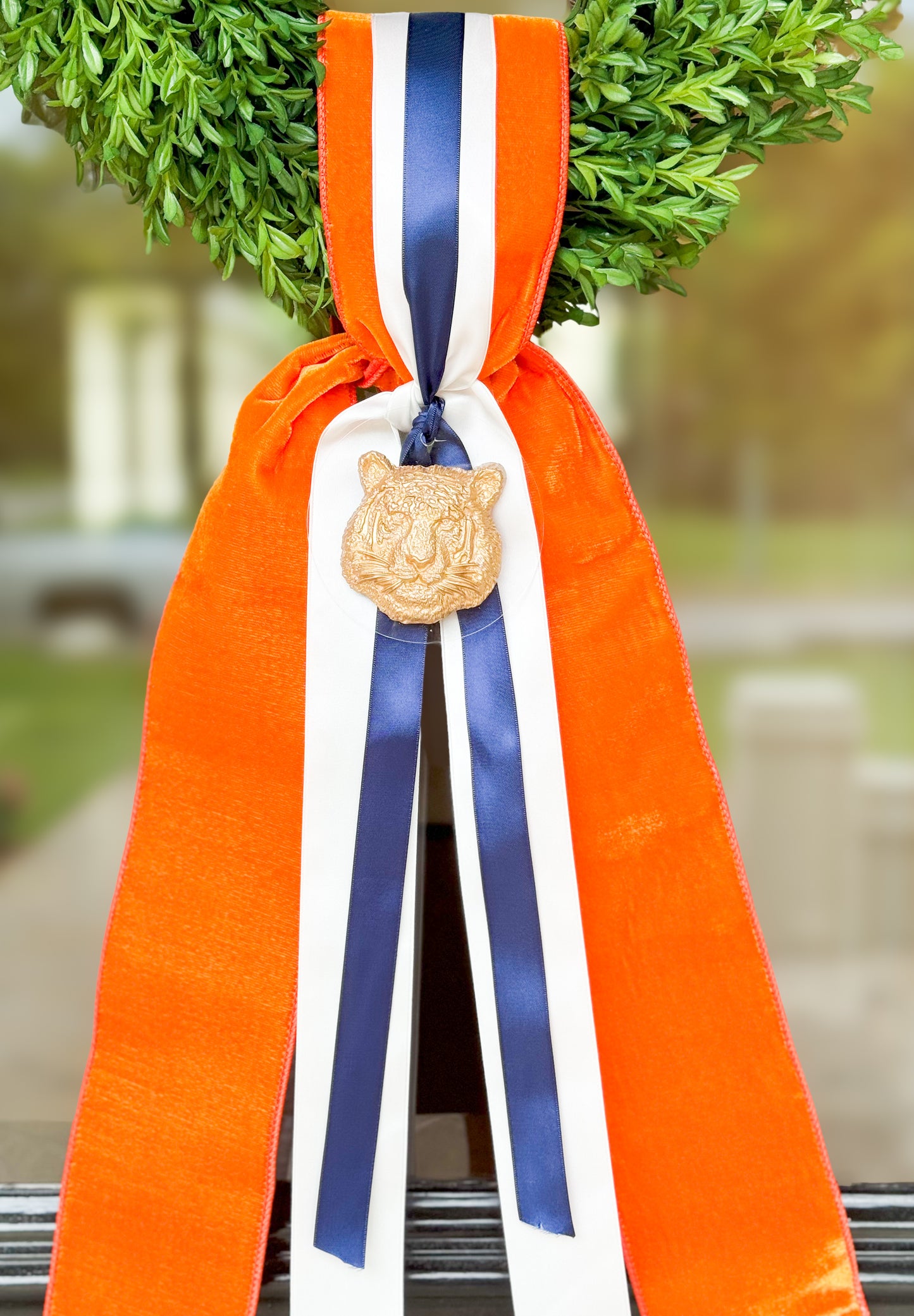 Gameday Wreath And Sash