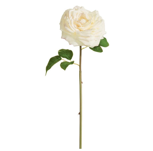 20” Open Cabbage Rose Spray - Cream Blush