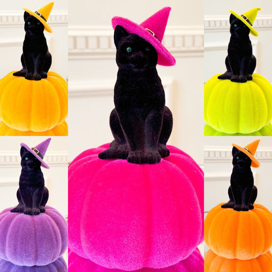 Black Cat On Pumpkin