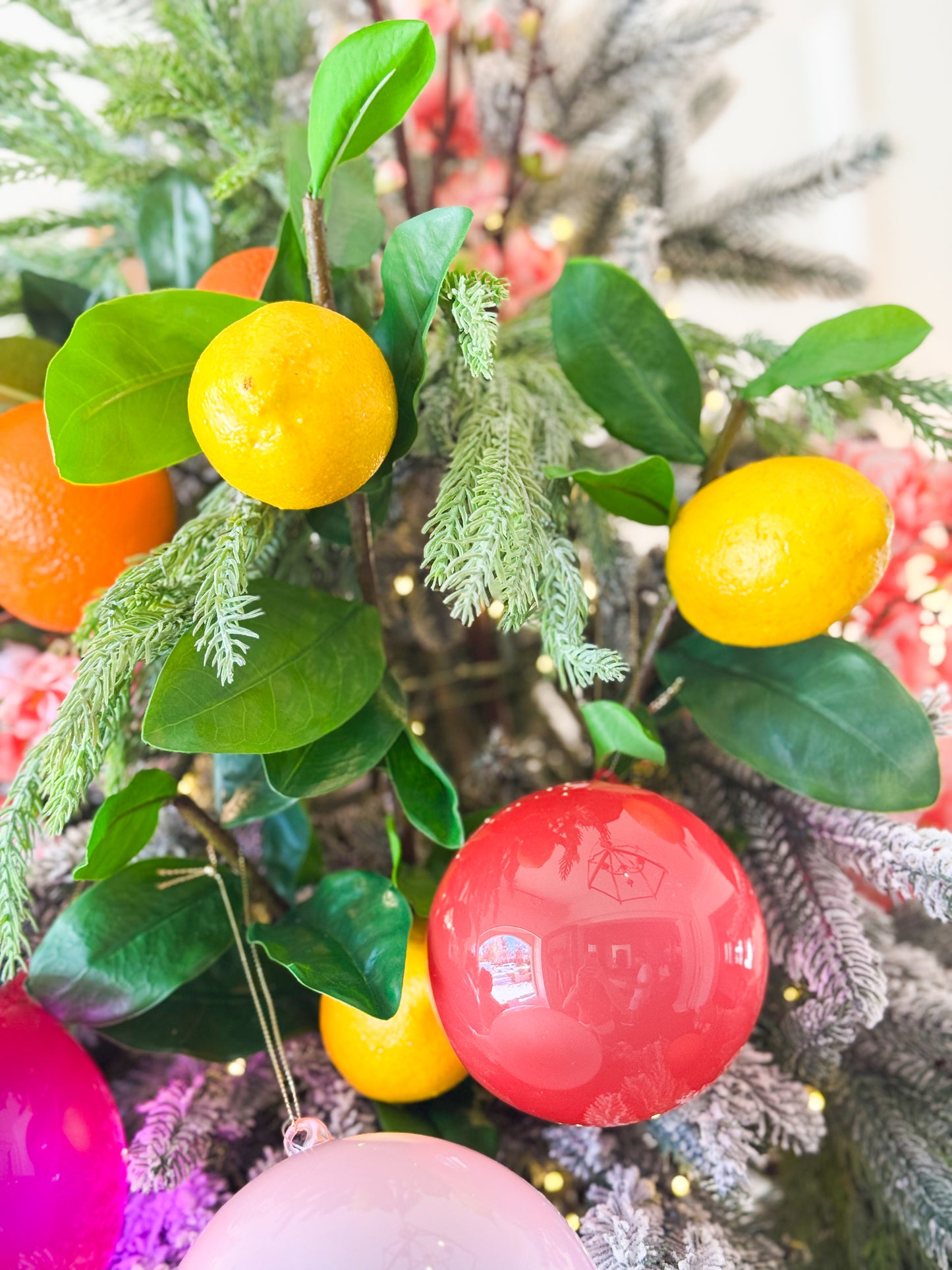 The Citrus Noel Christmas Tree Blanc Box