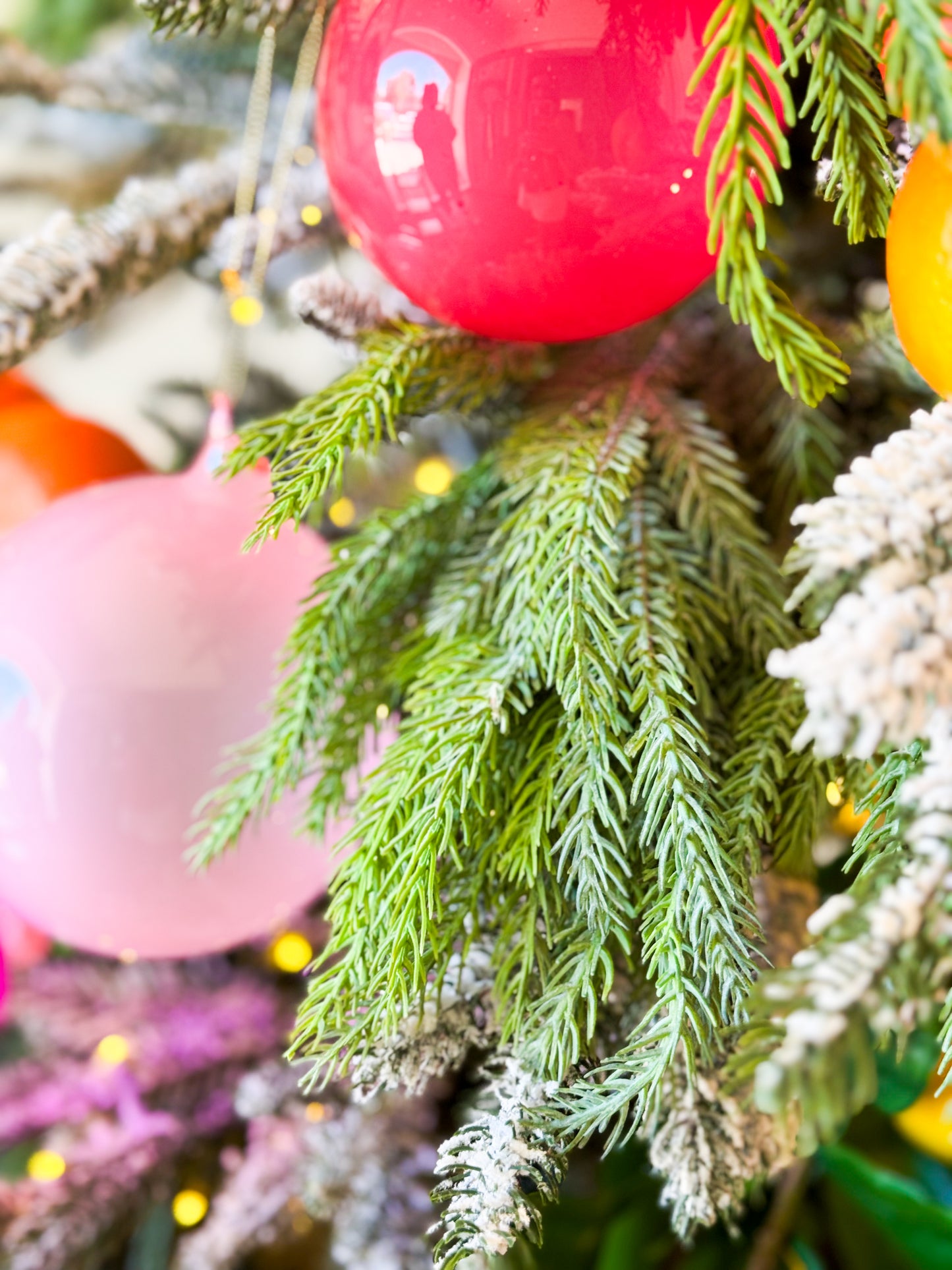 The Citrus Noel Christmas Tree Blanc Box
