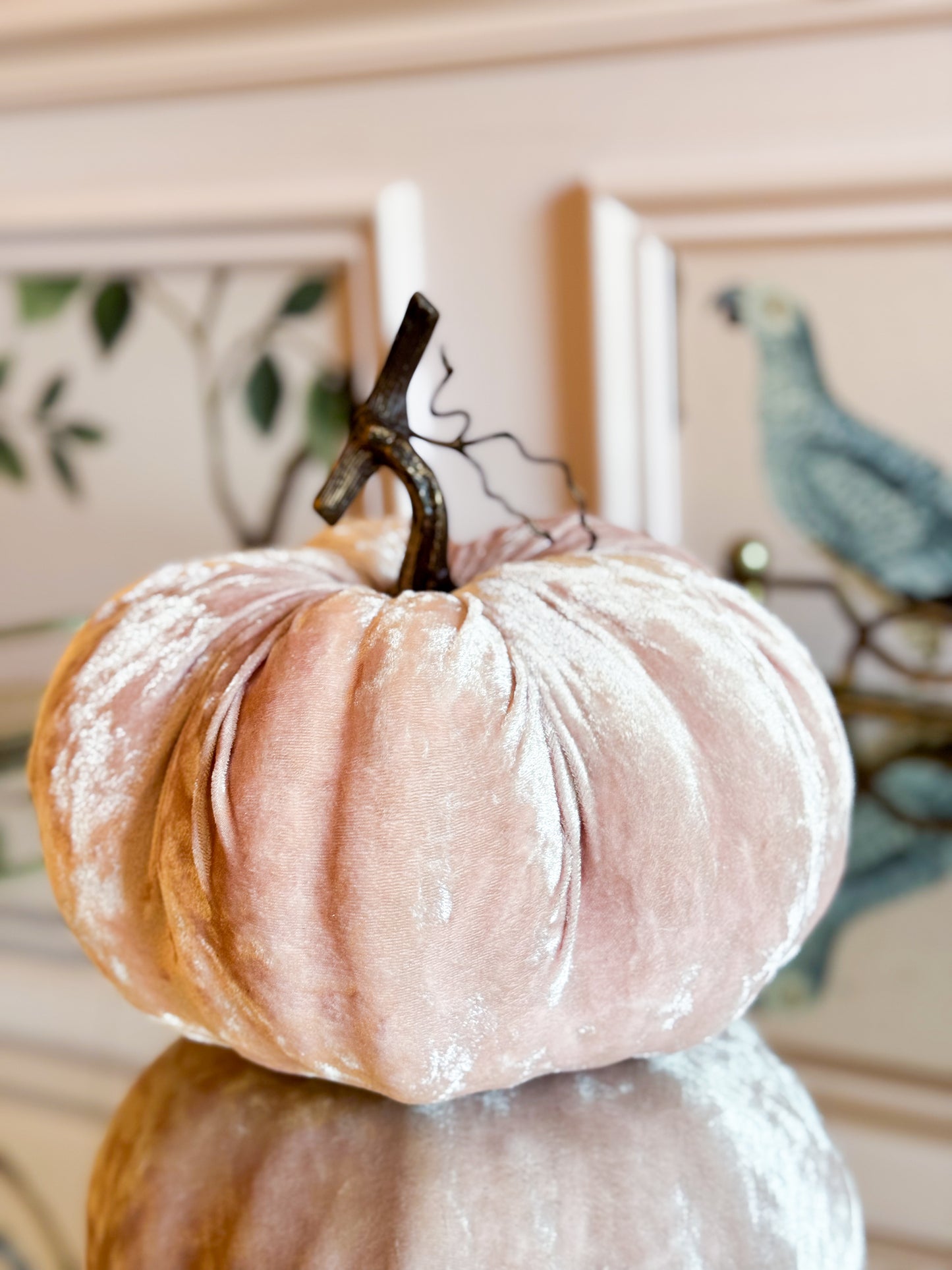 Blush Velvet Pumpkin Trio