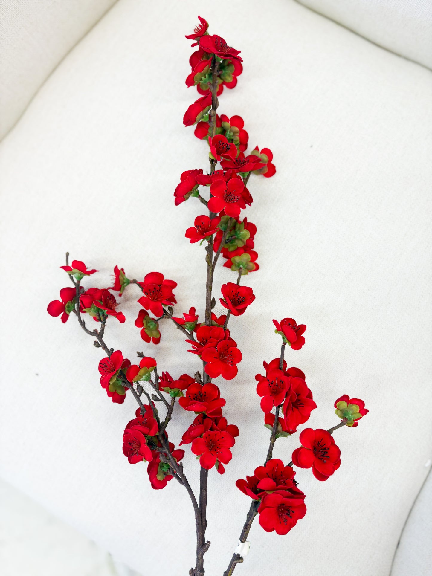 Winter Cherry Stem Bundle – Set of 6