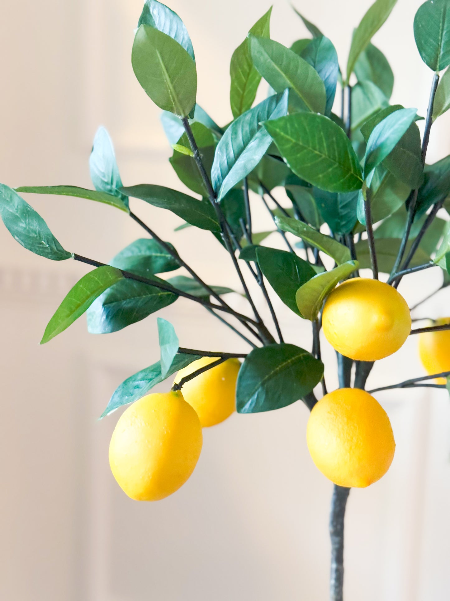 Lemon Topiary In Blue And White Ceramic Planter