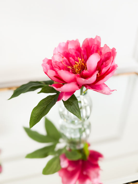 Fuchsia Peony In Glass Vase