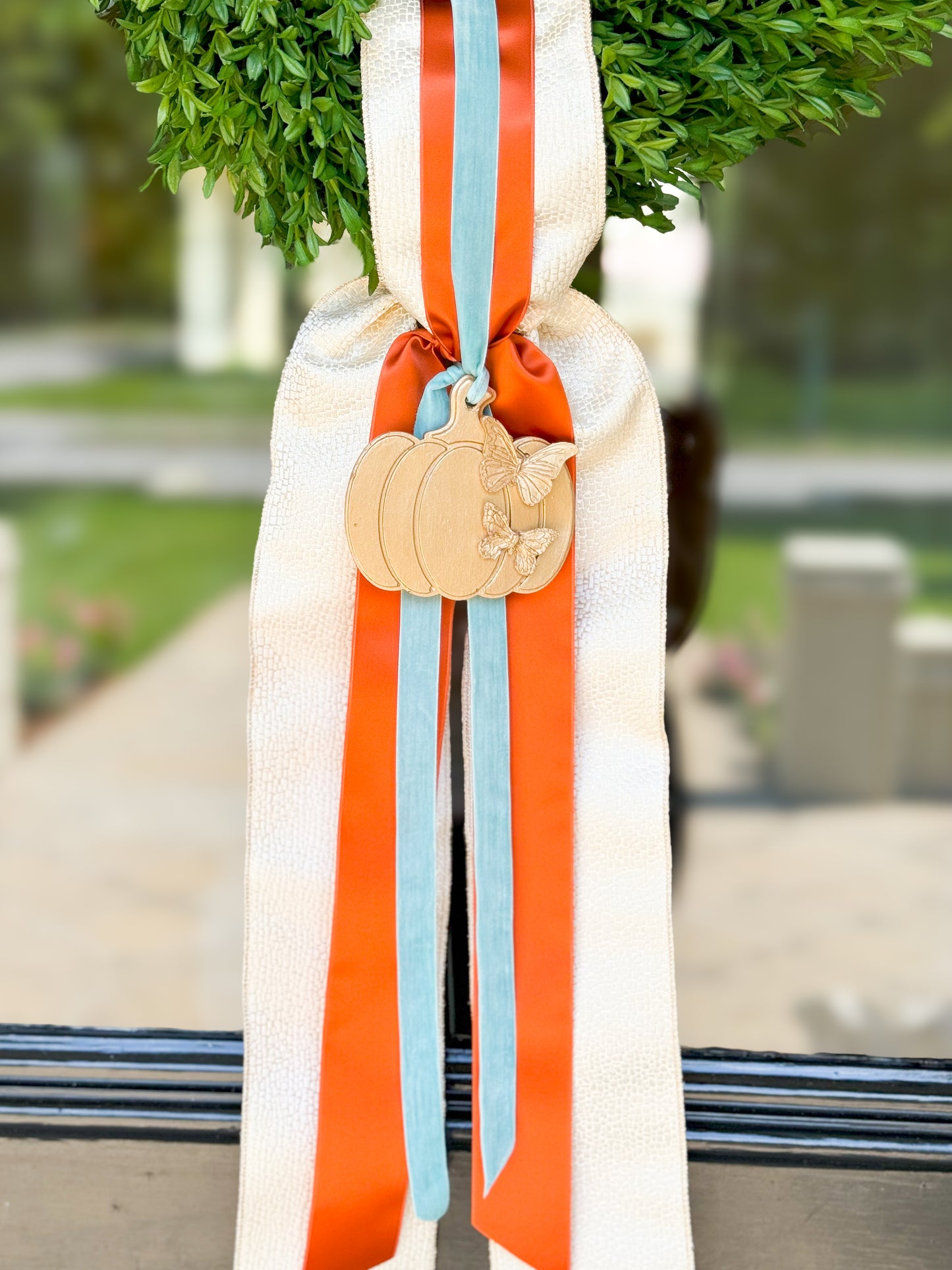 Le Papillon Pumpkin Wreath And Sash