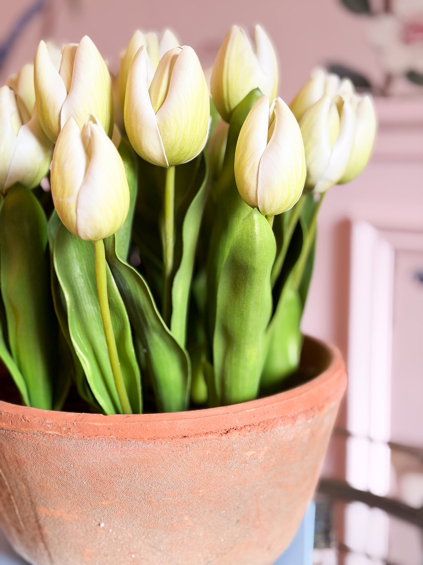 Blanc Box Cream Dutch Tulip Pot
