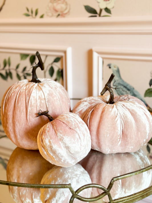 Blush Velvet Pumpkin Trio