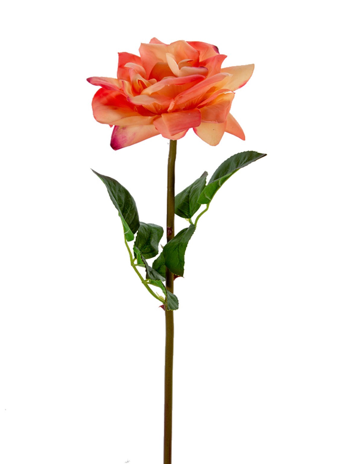 26” Open Rose Stem - Coral