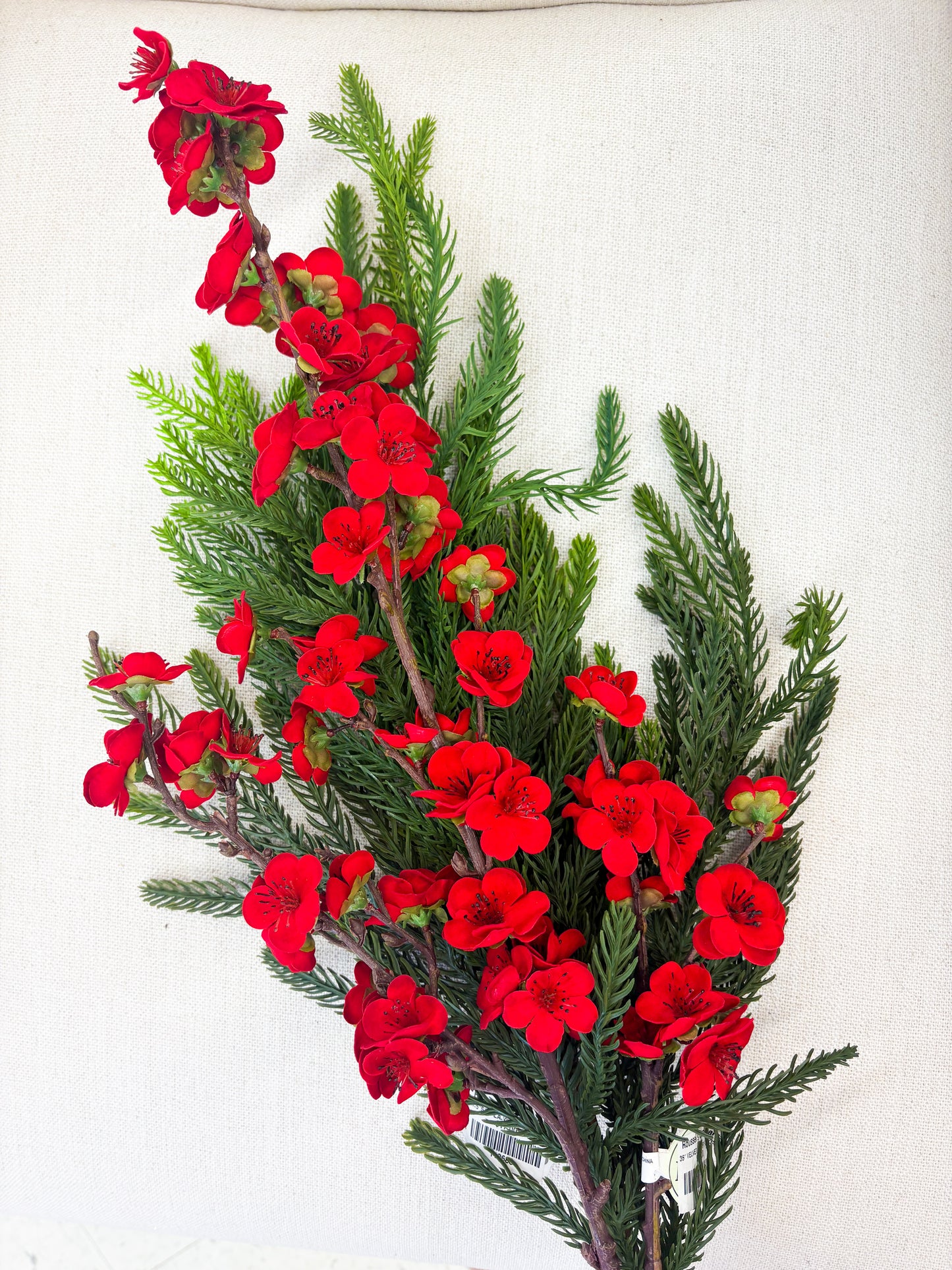 Willow Pine & Winter Cherry Stem Bundle – Set of 12