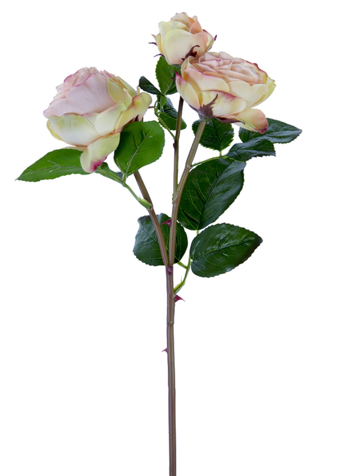 21” Fresh Touch Cabbage Rose Spray- Coral Yellow