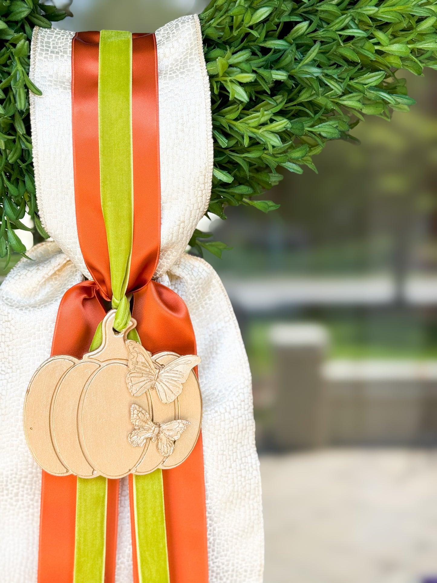 Le Papillon Pumpkin Wreath And Sash