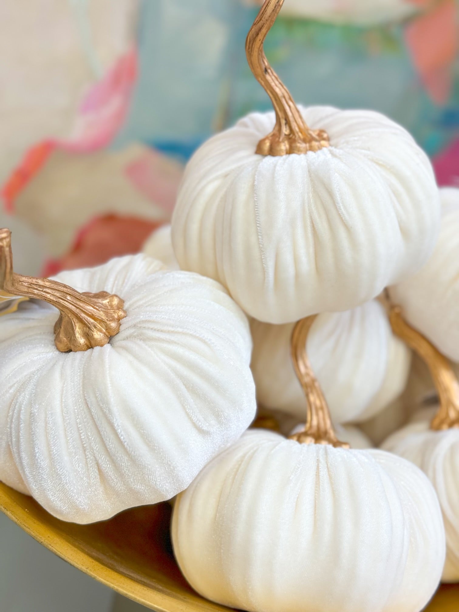 White Velvet Pumpkin – Blanc Box