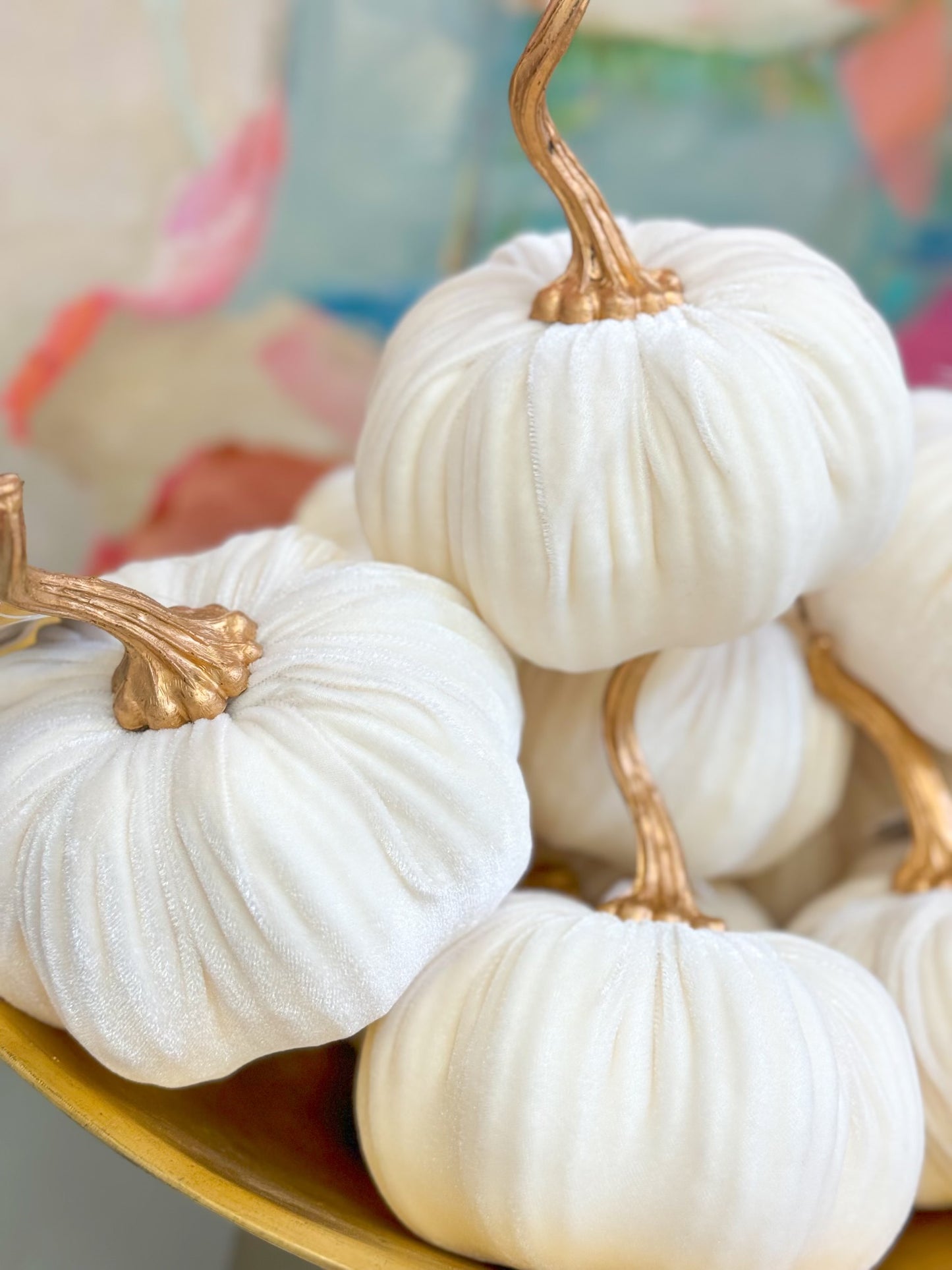 White Velvet Pumpkin