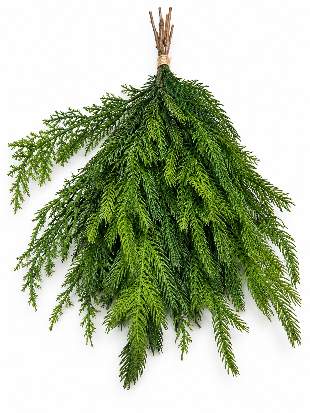 Bundle of Greenery