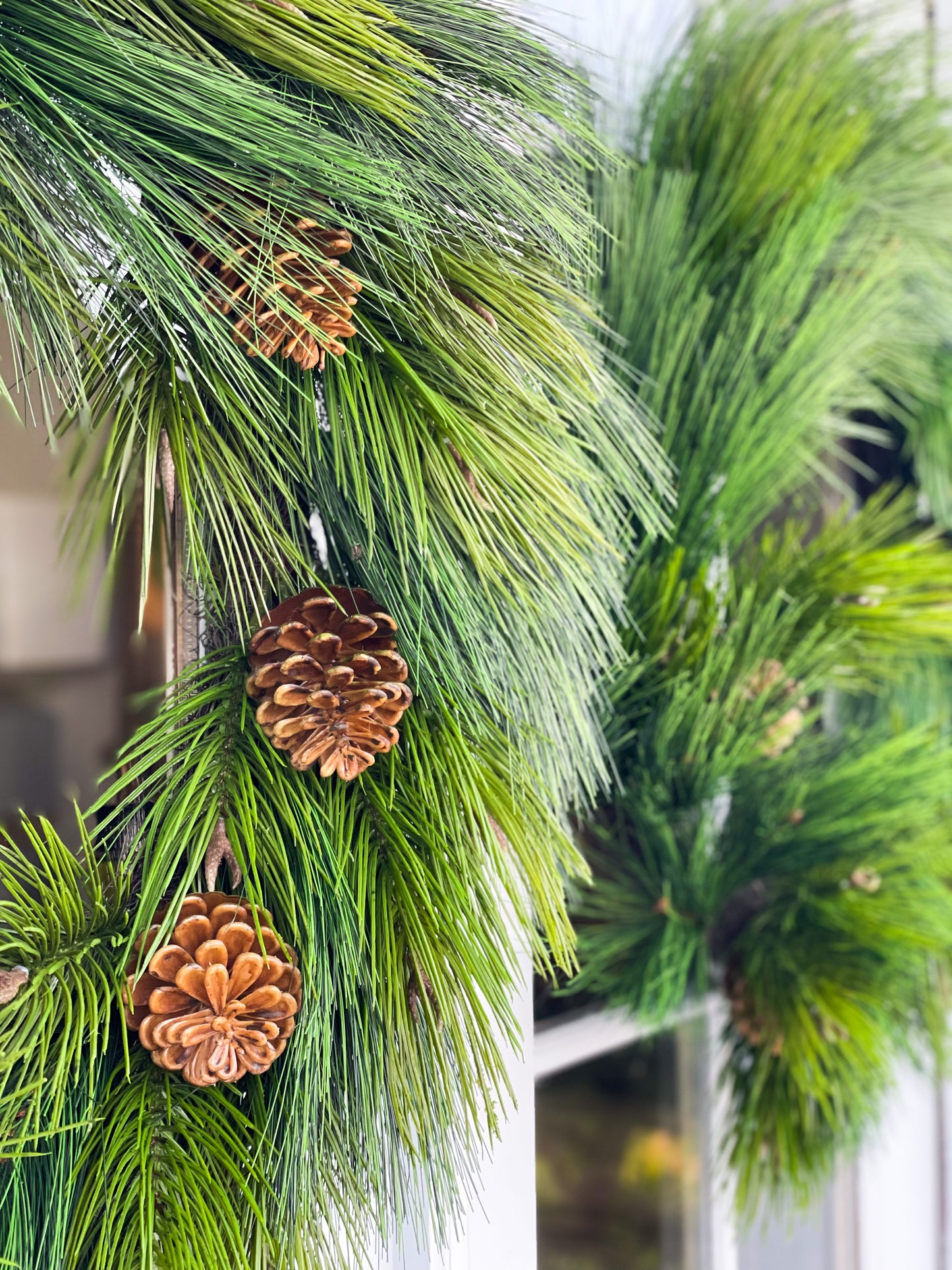 Long Needle Pine Wreath