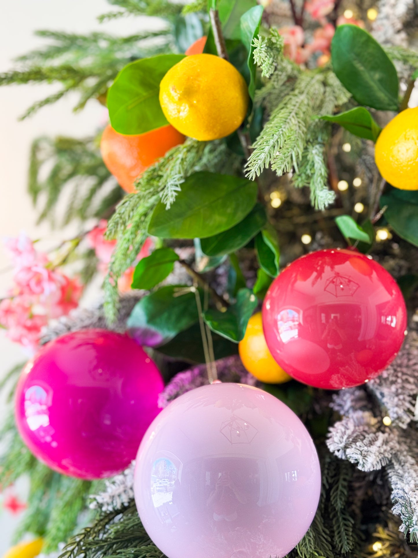 The Citrus Noel Christmas Tree Blanc Box