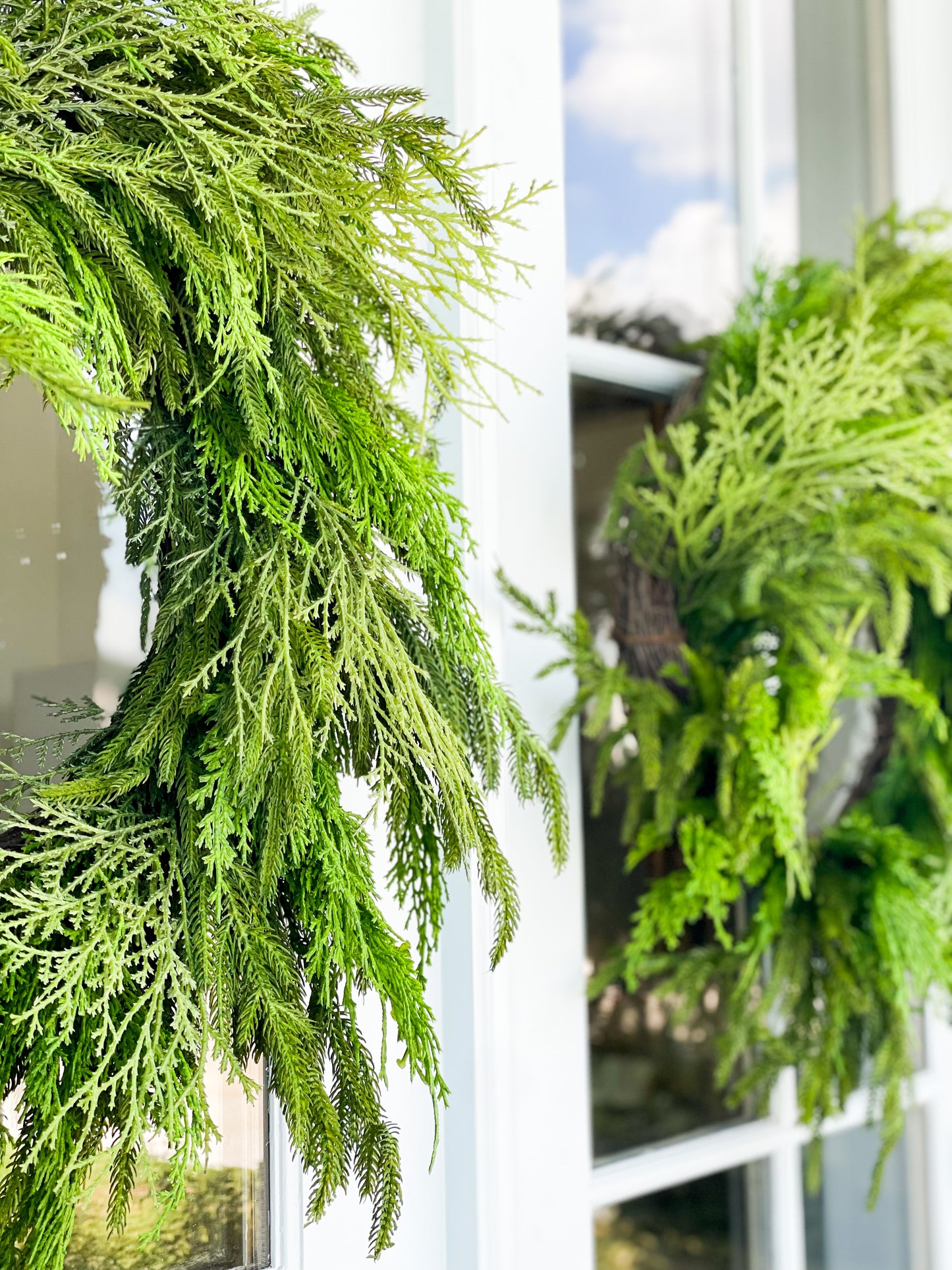 Norfolk Pine/ Cypress Mixed Wreath