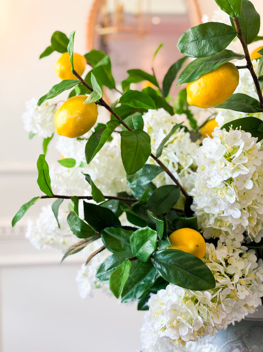 Lemon Branch Bundle