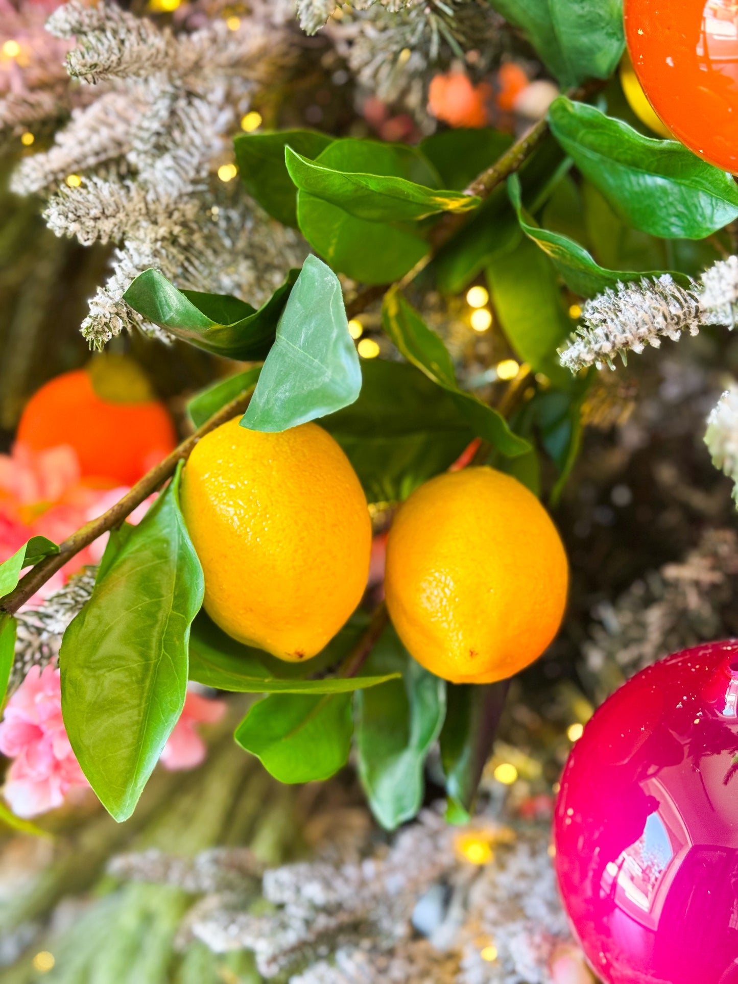 The Citrus Noel Christmas Tree Blanc Box
