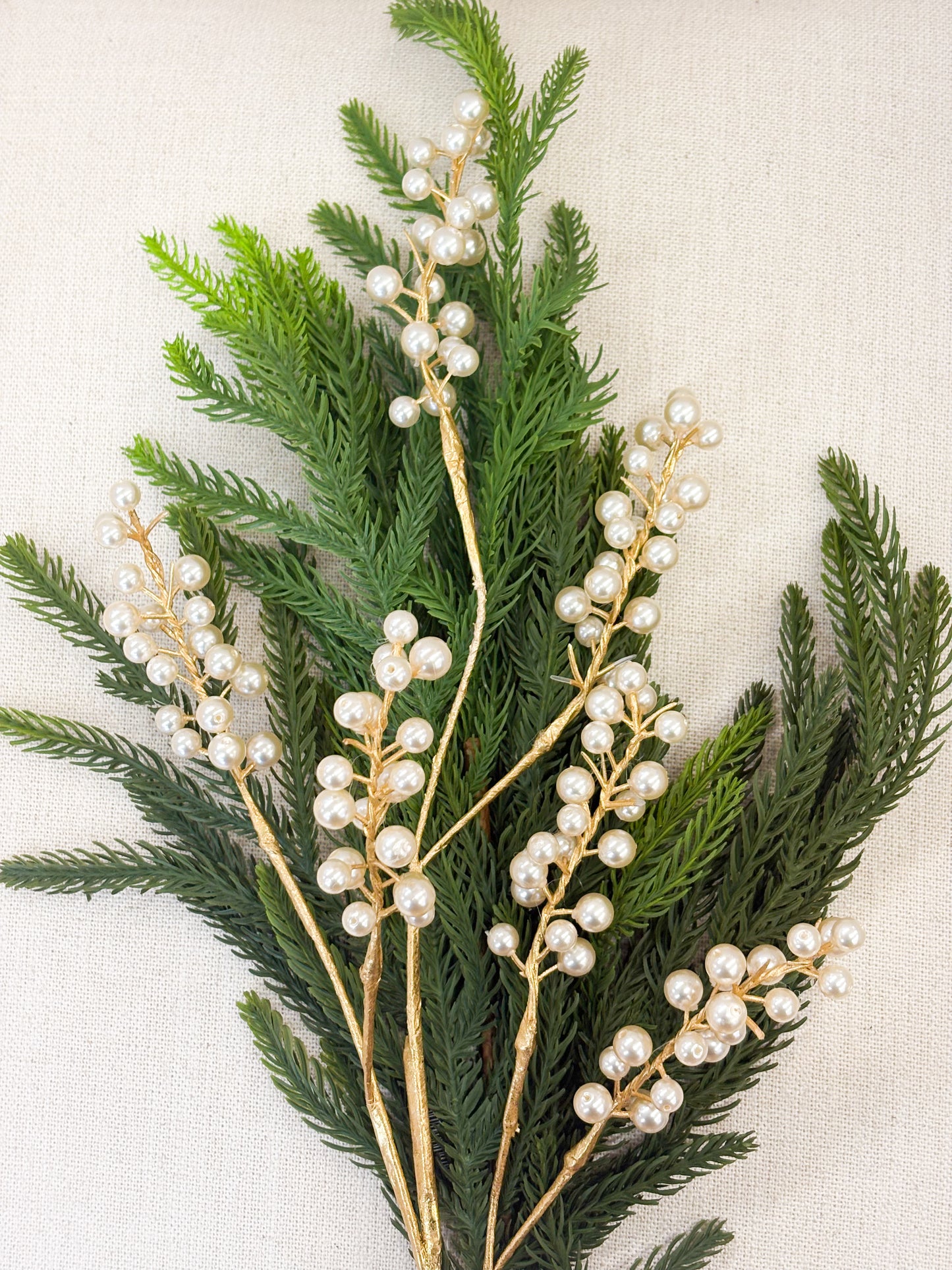 Willow Pearl Pine Stem Bundle – Set of 12