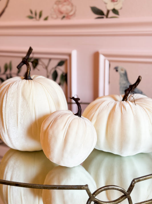 Ivory Luxe Velvet Pumpkin Trio