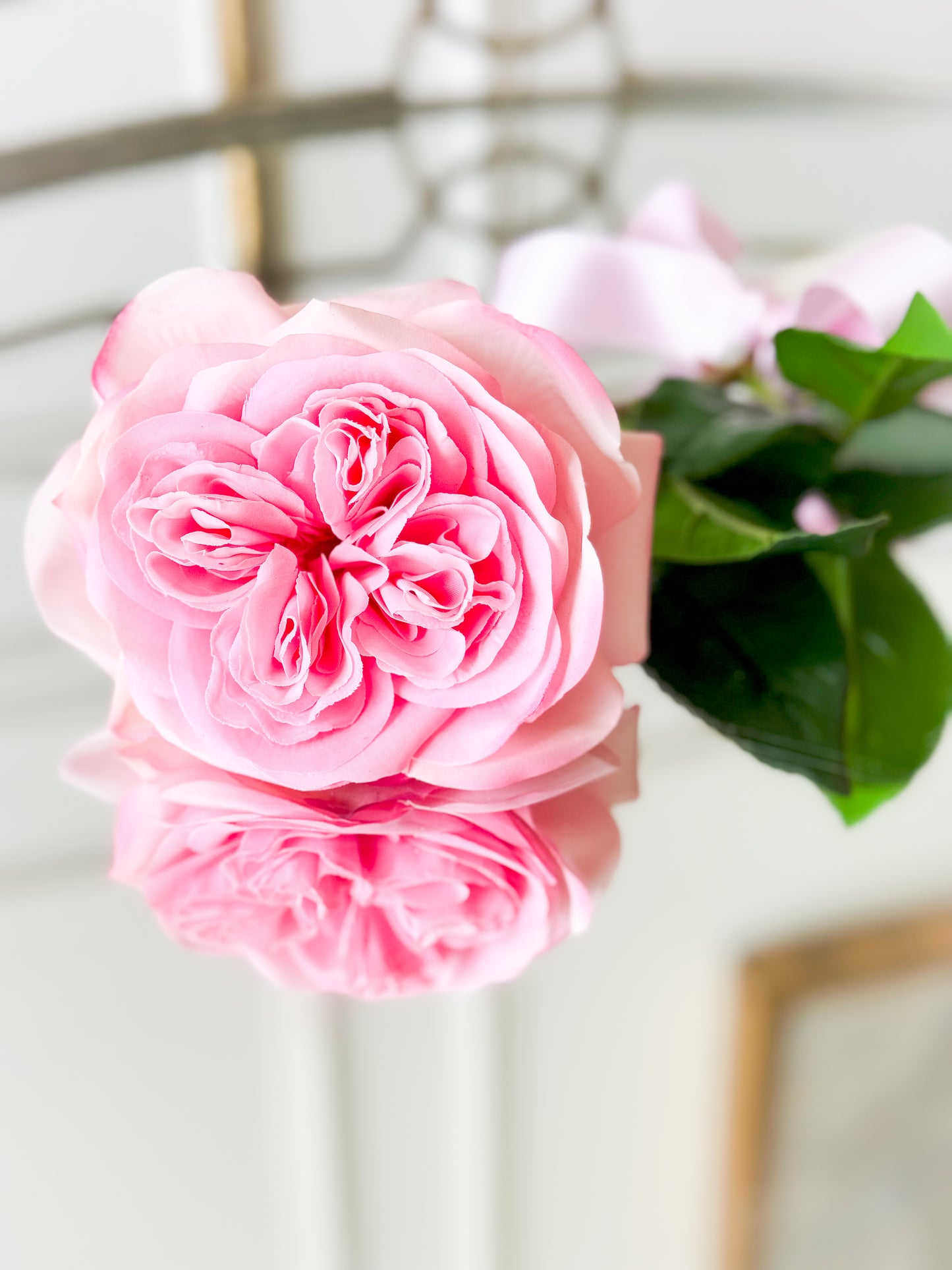 Rose Stem With Satin Ribbon And Card