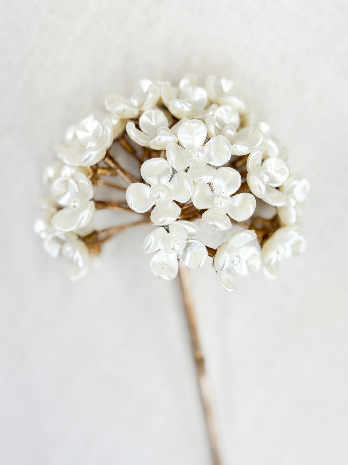 Gilded Pearl Bloom Stem Bundle