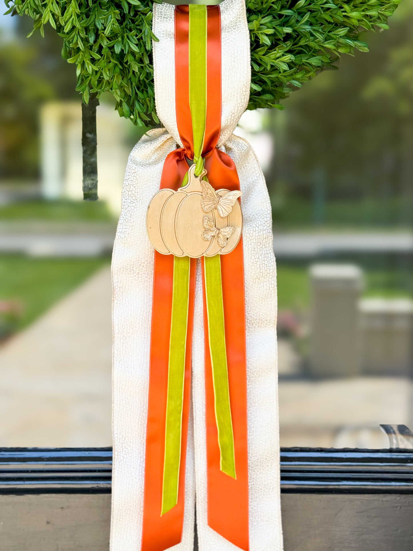 Le Papillon Pumpkin Wreath And Sash