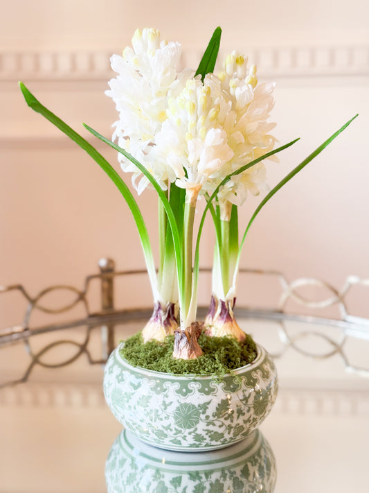 Hyacinth Bulbs In Green And White Ceramic Bowl