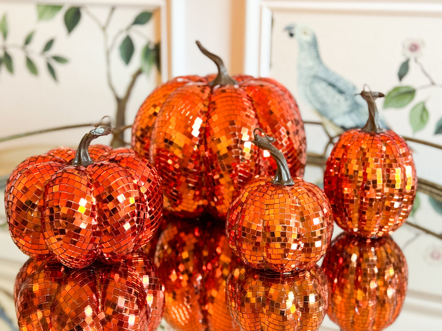 Disco Harvest Pumpkin