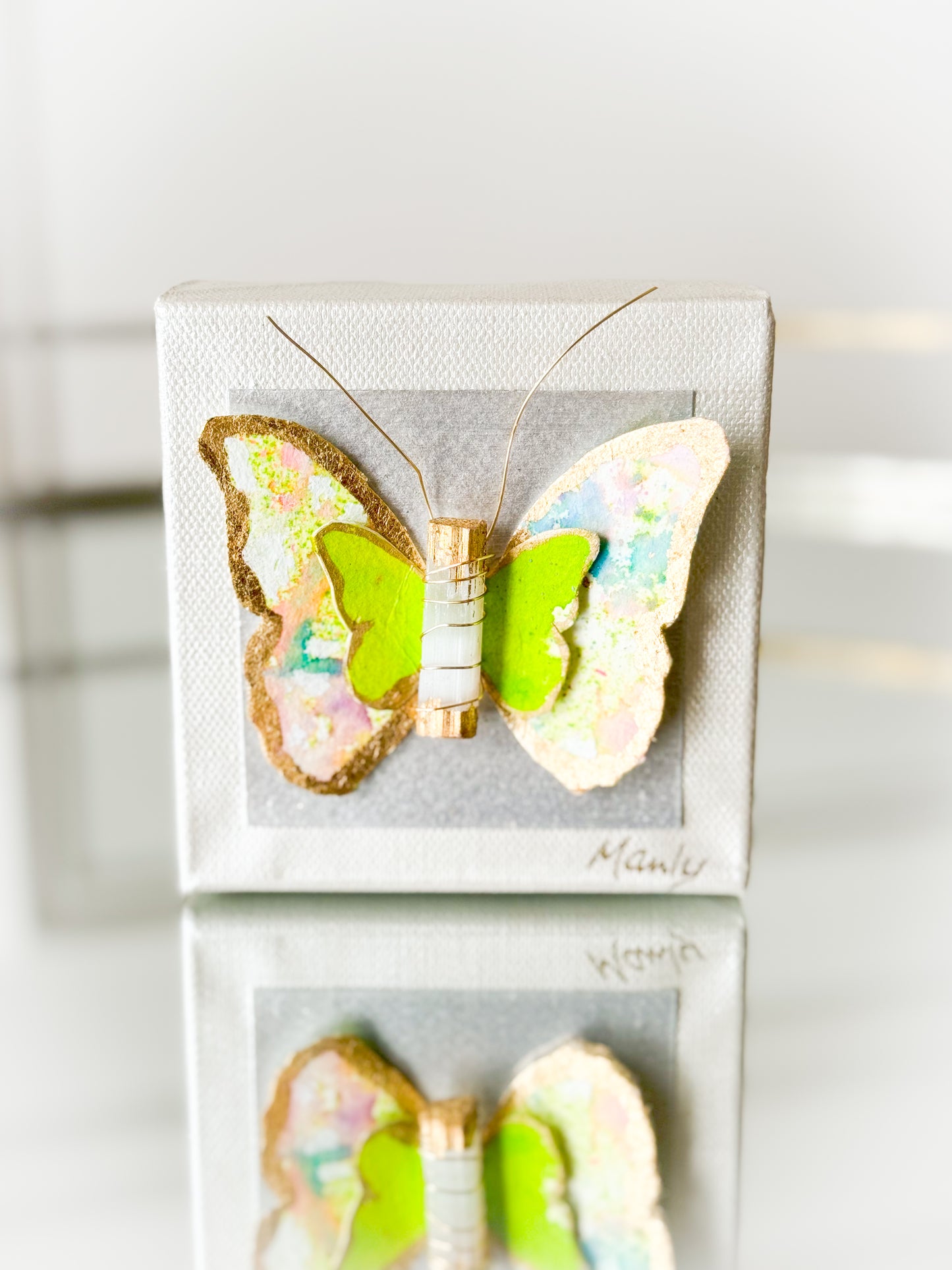 Le Papillon Canvas