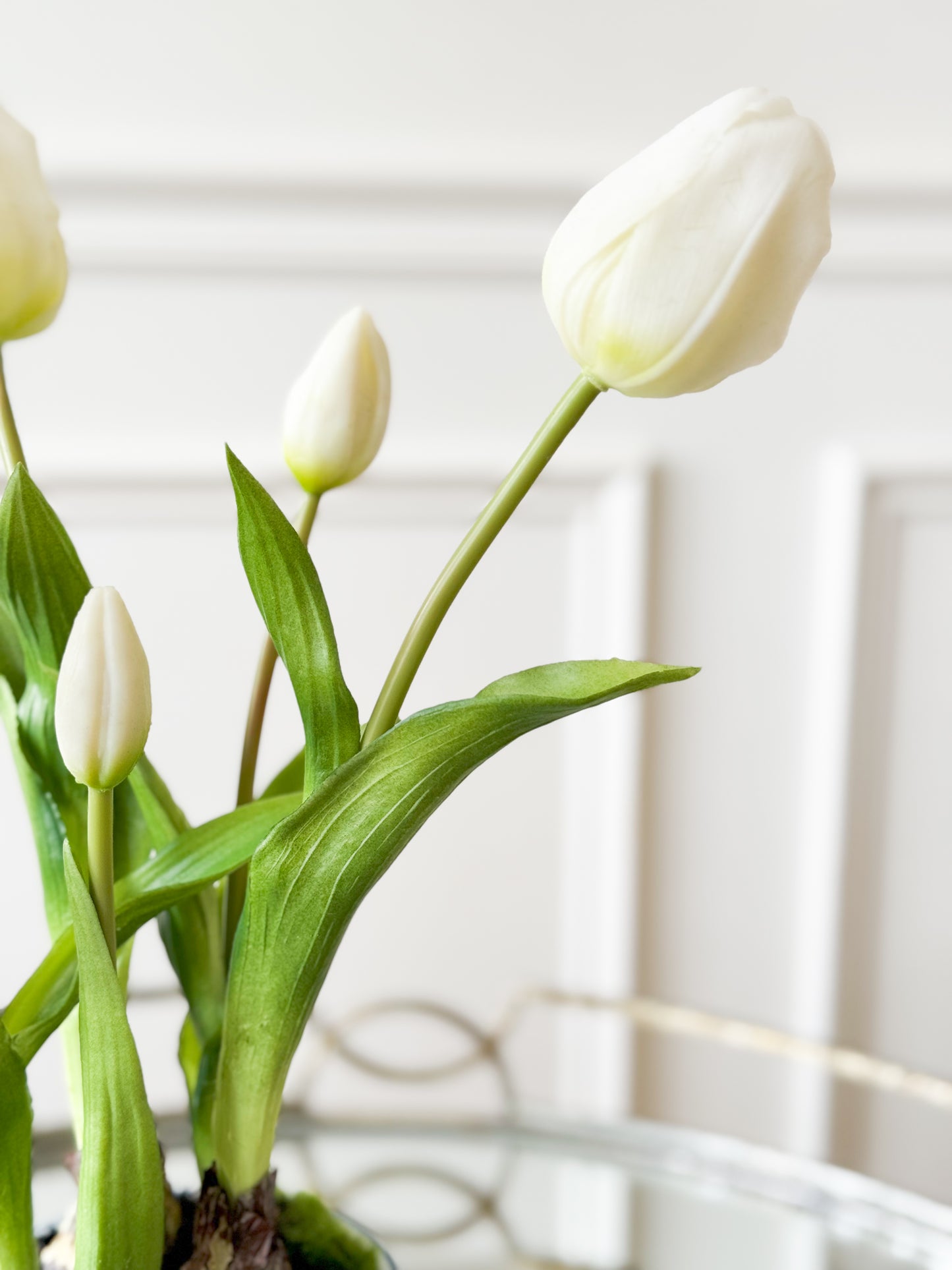 Tulips In Blue And White Ceramic Vase