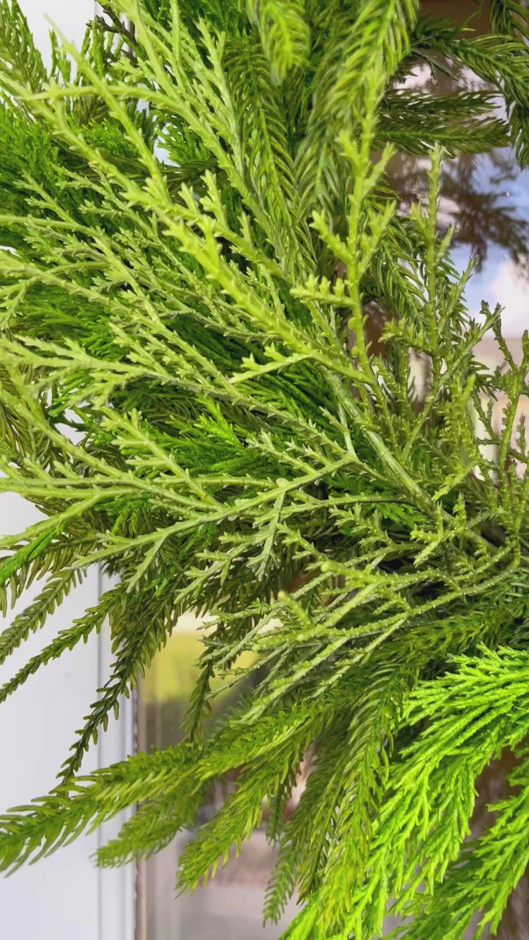 Norfolk Pine/ Cypress Mixed Wreath - Thumbnail 4