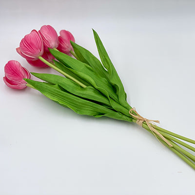 17” Hot Pink Tulip Stem Bundle