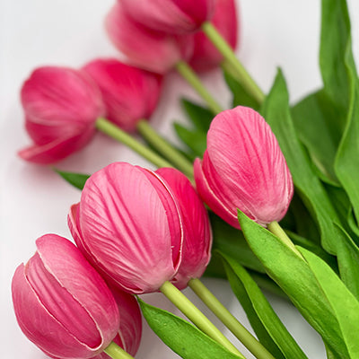 17” Hot Pink Tulip Stem Bundle