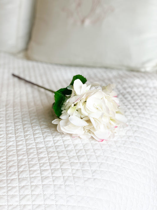 White Long Stem Hydrangea