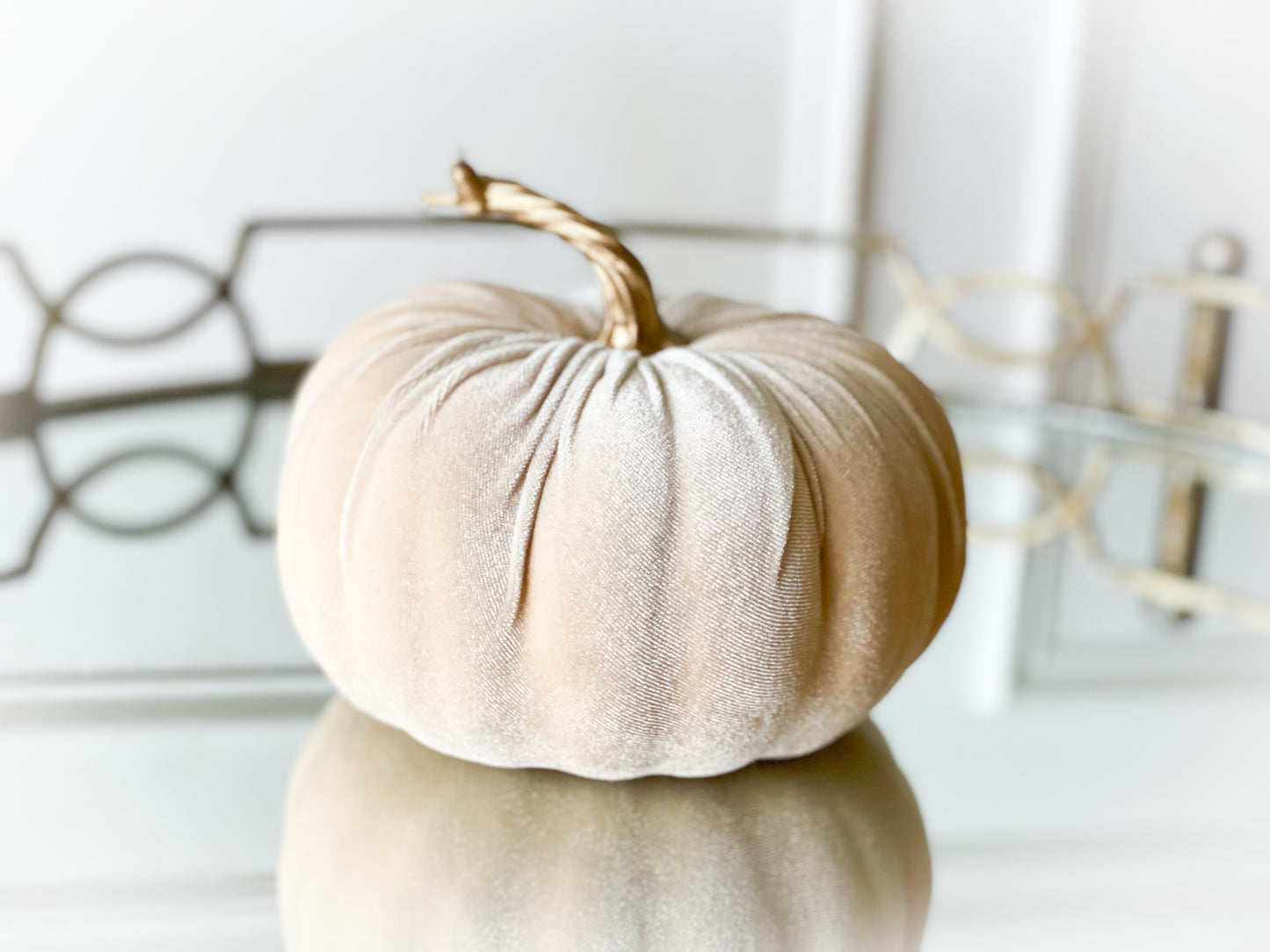 The Gather Pumpkin Blanc Box