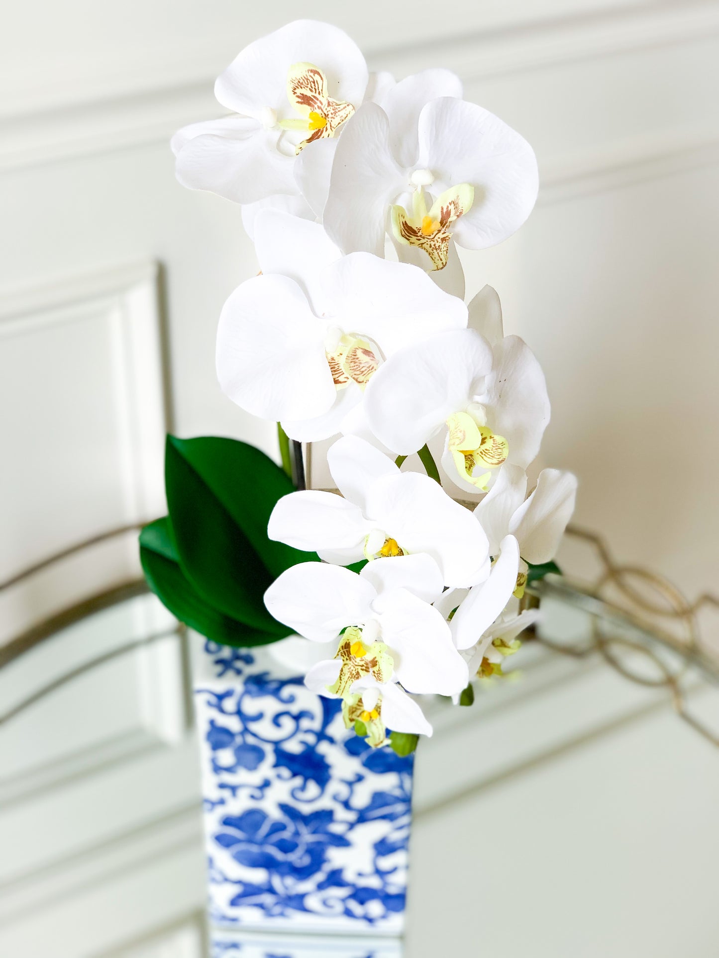 White Orchid in Tall Chinoiserie Vase