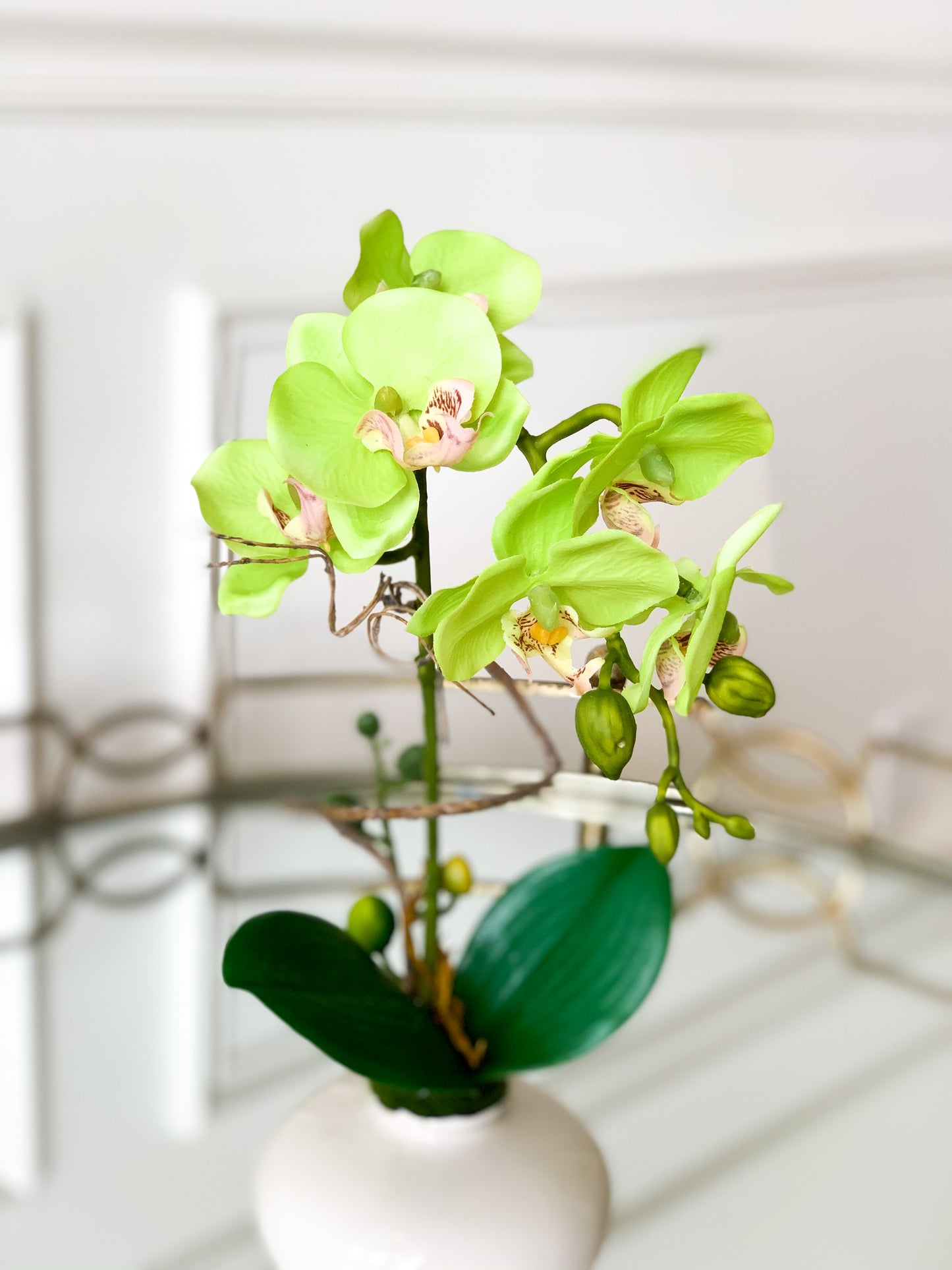 Green Orchid in White Ceramic Vase